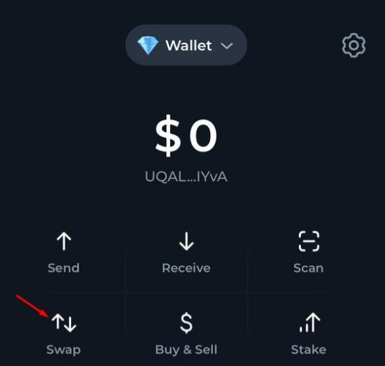 article content image
