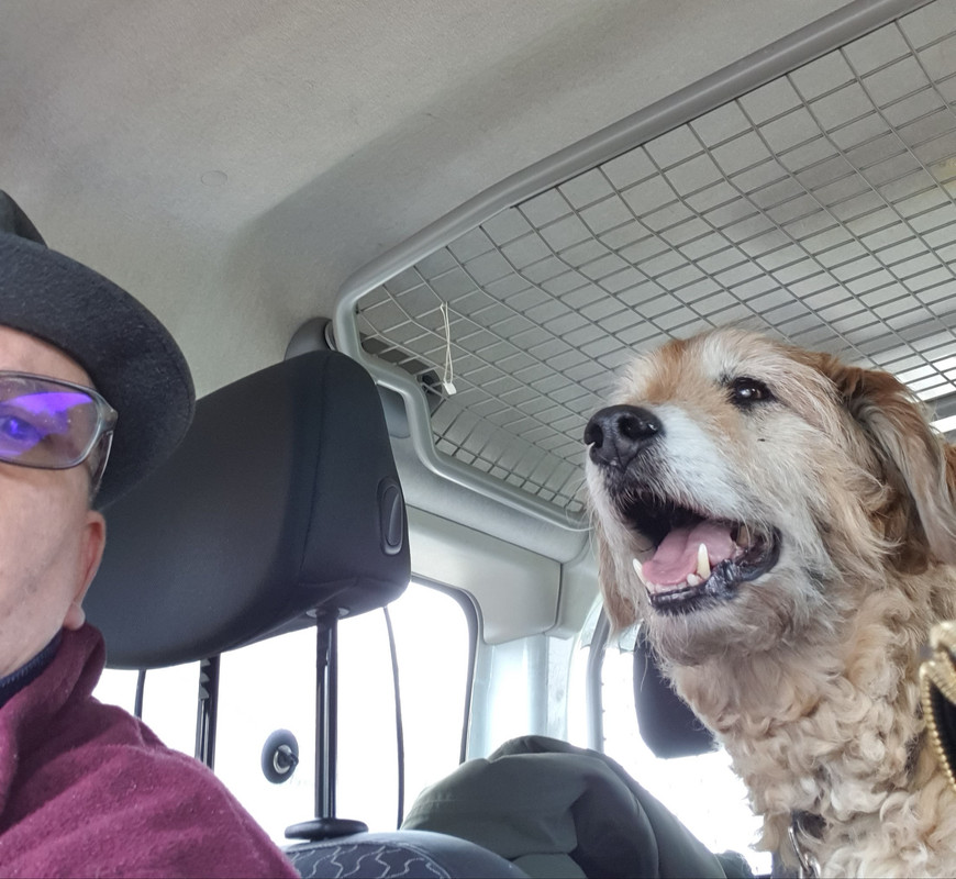 [Image: 20210506-145327.jpg]