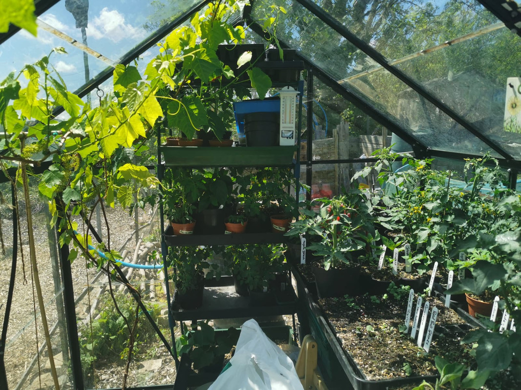 WhatsApp Image 2021-05-23 at 10.35.59 (2)