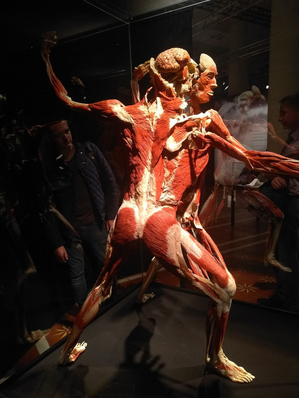 73149512_572319500171877_5197286491201470464_n