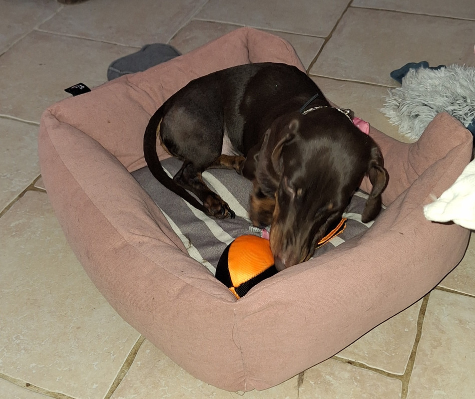 [Image: 20240326-181658.jpg]