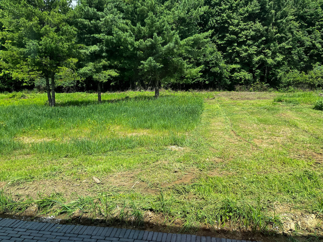 CDC2F603-9F76-4A27-85D8-1A92F14DE878