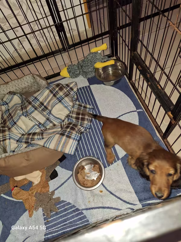 [Image: 20240904-210920.avif]