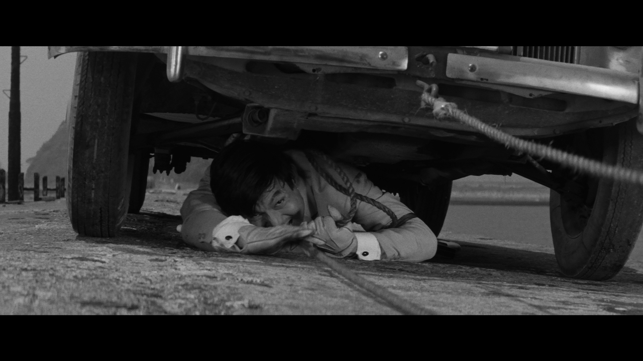 vlcsnap-2024-01-23-08h04m30s013