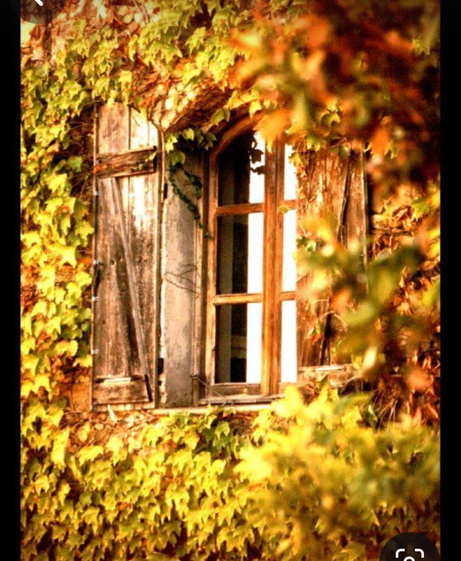 Screenshot_20231128_002524_Pinterest