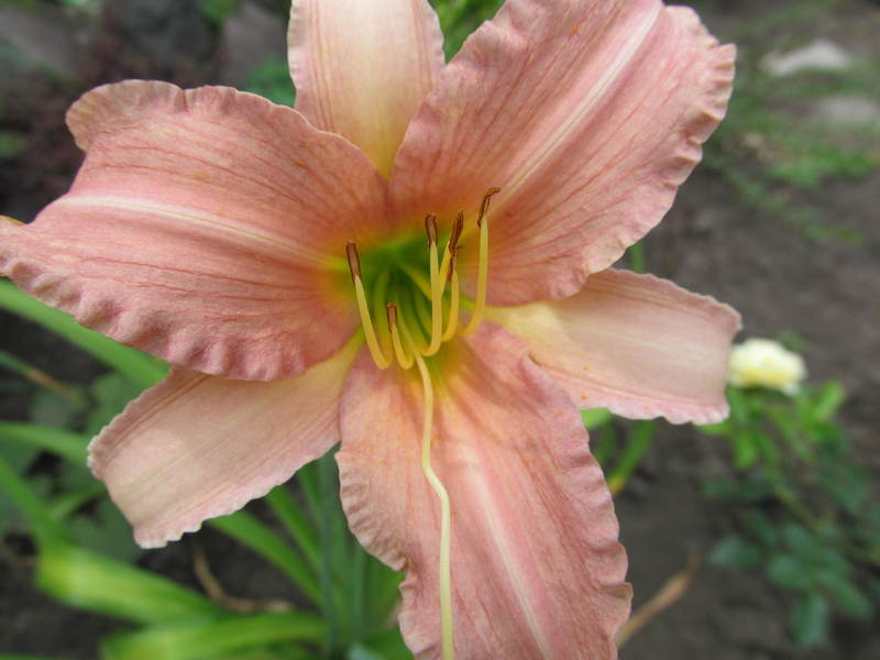 018
