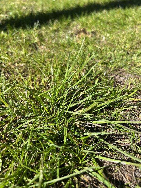 5FA77142-1AE9-4BCC-920F-D86FC35B14FF