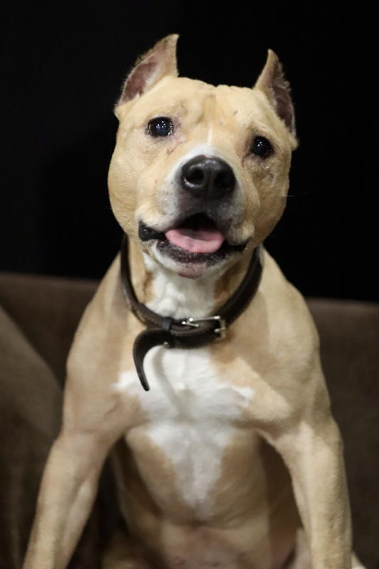 C74EFC6B-3F02-4F9E-98FC-5306943E7F87