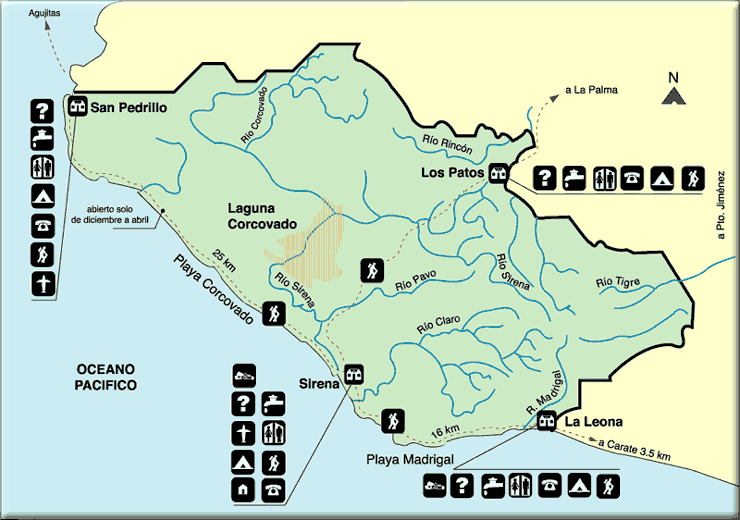 DIA 13: EXCURSIÓN DE UN DÍA A CORCOVADO - DE TORTUGAS Y PEREZOSOS. COSTA RICA 2019 (19)