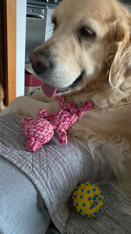 D541C5A8-1123-46EB-9FE5-8A5C813F6CED