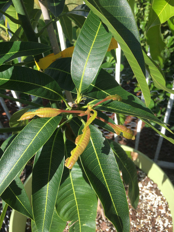 BE5B3436-1946-49F1-BAD8-09F69AC0B67E