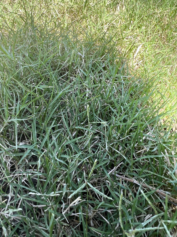 photo_2022-08-19 12.44.01