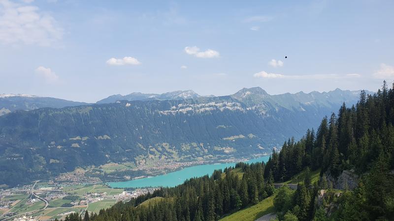 SCHYNIGE PLATTE...noche en las alturas - CÓMO SUIZA NOS ATRAPA POR 5º VERANO CONSECUTIVO + CARENNAC Y LOUBRESSAC (1)