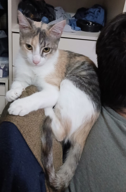 Lily-y-Yo.jpg