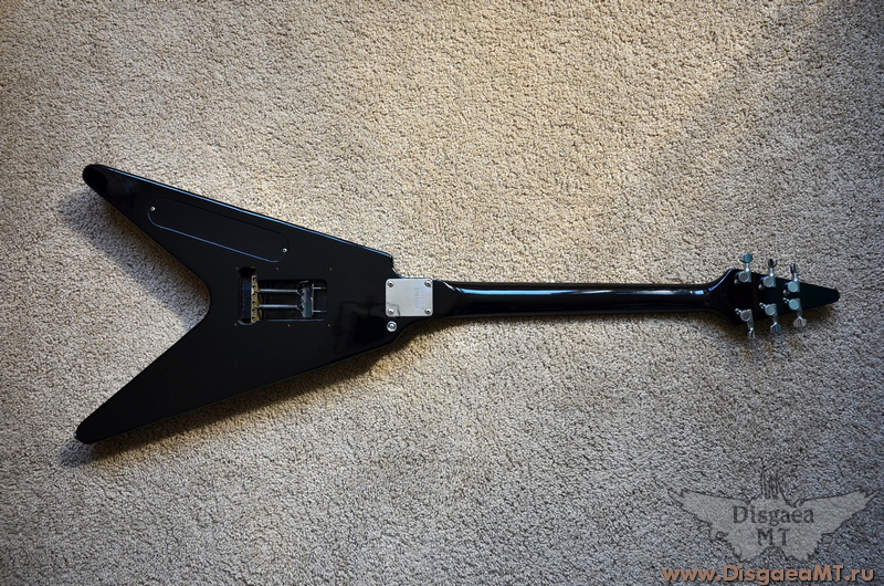 Fernandes_the_Function_Flying_V_exch_019
