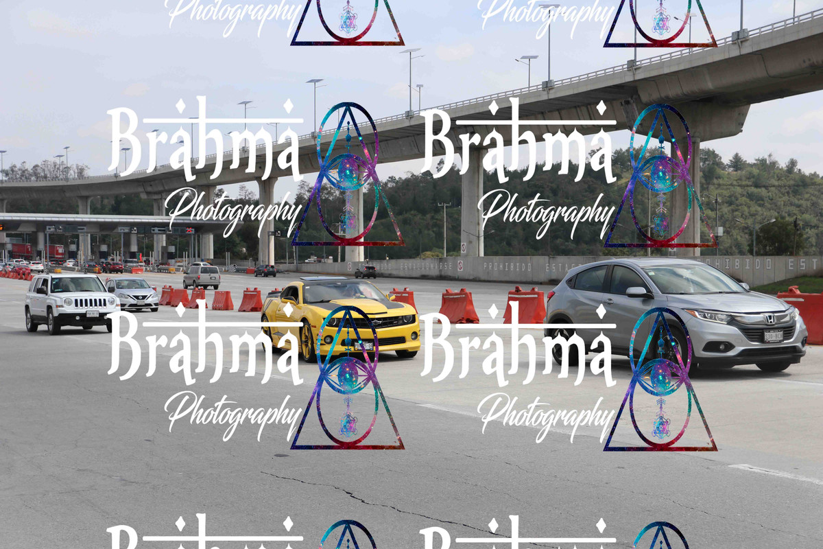 IMG 3331 — Postimages