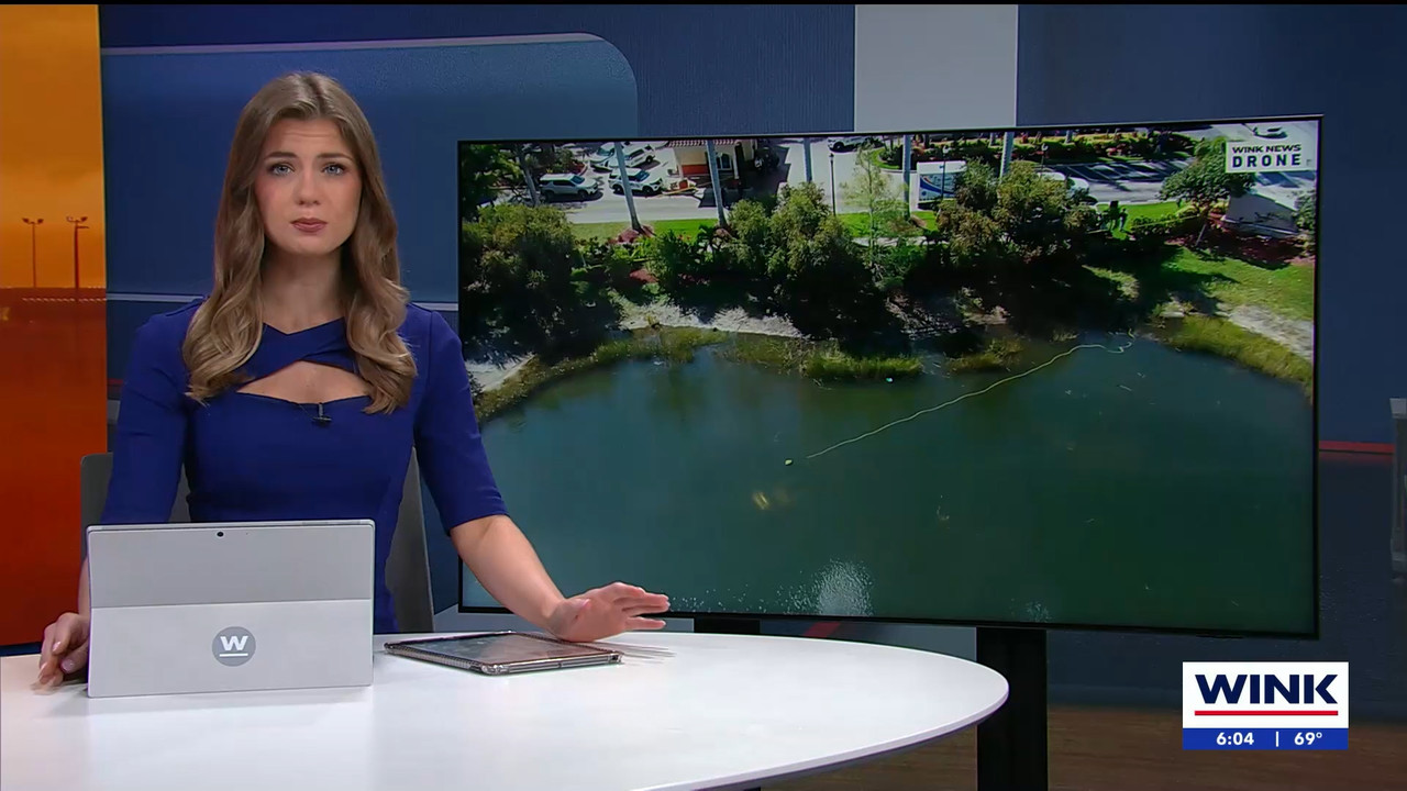 03.16 - 10.00.01 - WINK NEWS at 6 00am Saturday. Saturday morning new....ts_snapshot_00.07.04.148