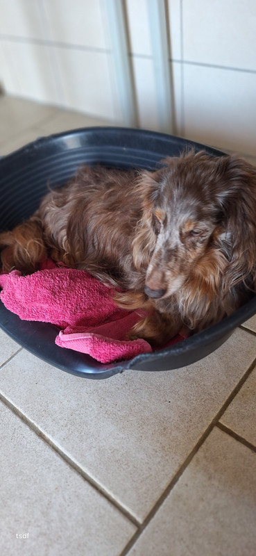 [Image: 20250628-201434.jpg]