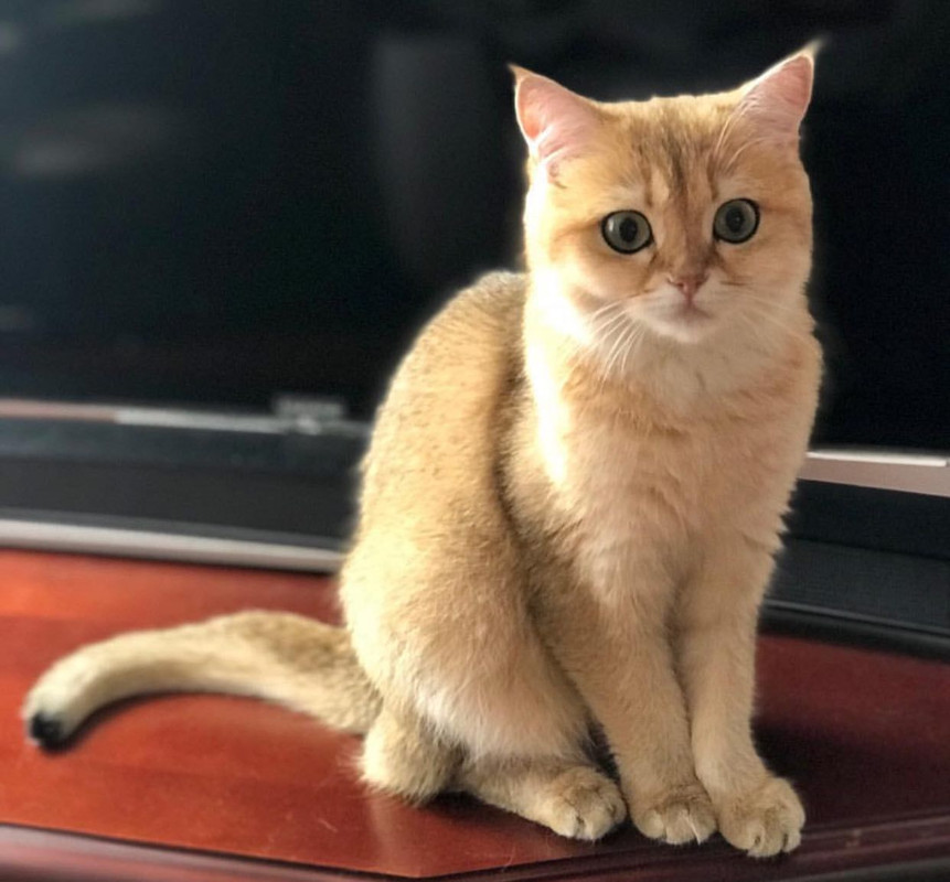 14DBA443-61E1-411E-AAE2-006EA2DFF7E9