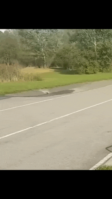 video 2026 08 26 01 16 47 (1)