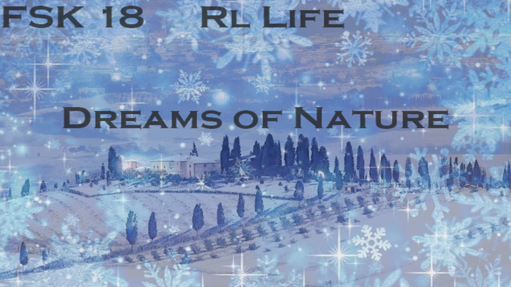 Beschreibung des Bildes