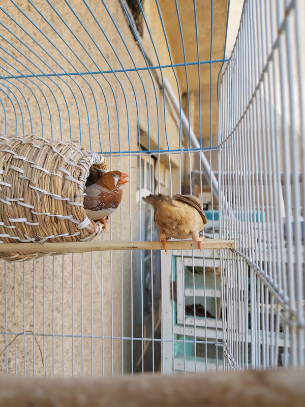 ٢٠١٩١٠١١_١٢٢٩٣٤