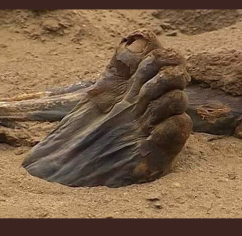 AB51-D37-D-05-A3-4-D3-A-967-B-0-CC849296