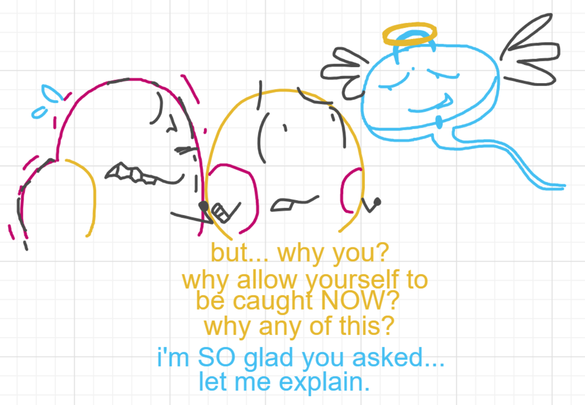 A panel from A Murder On The, episode six of the Board Boards object show by Furretwalk/WalkingFurret.