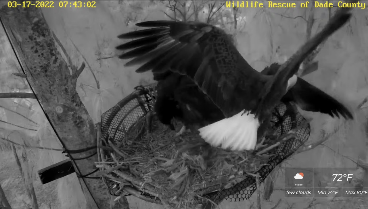 A8D509EA-E129-4F93-9BFA-438967330AEC