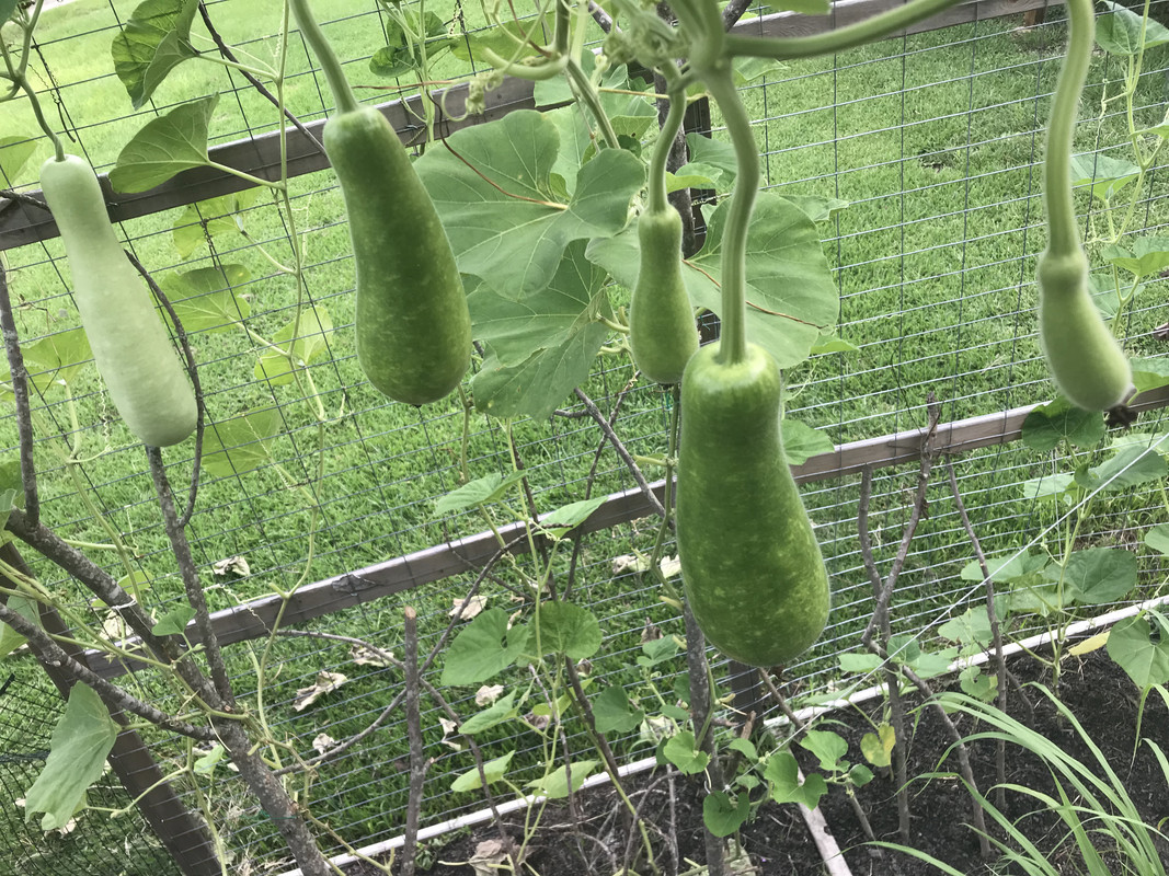 15FC8410-325E-4CB9-A130-9310CFB66F1F