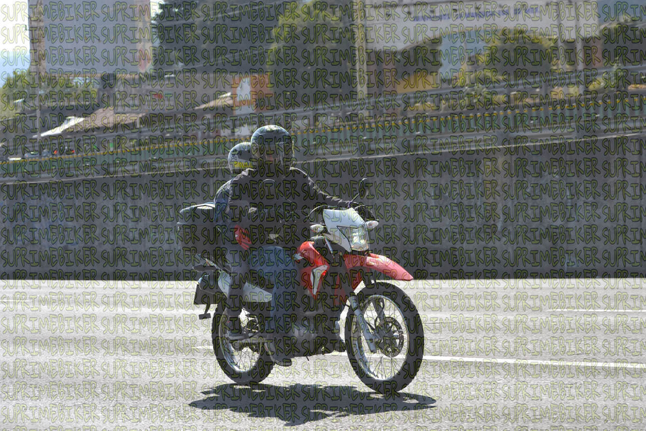 DSC 0004