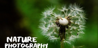 Nature Photography Recharge and Enjoy the Outdoors