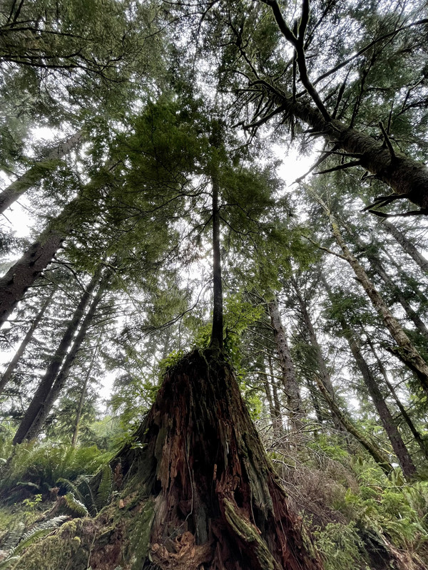 838D1DCB-94BC-43B3-BD3C-BF319FEADC1A