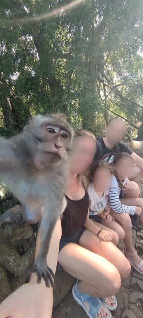 --Día 7 (23 de junio): Día libre por Ubud - Indonesia 2023 (Borneo - Bali - Gili) (1)