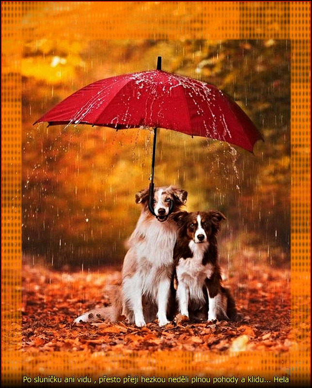 neděledest22.10.2023úúúpr