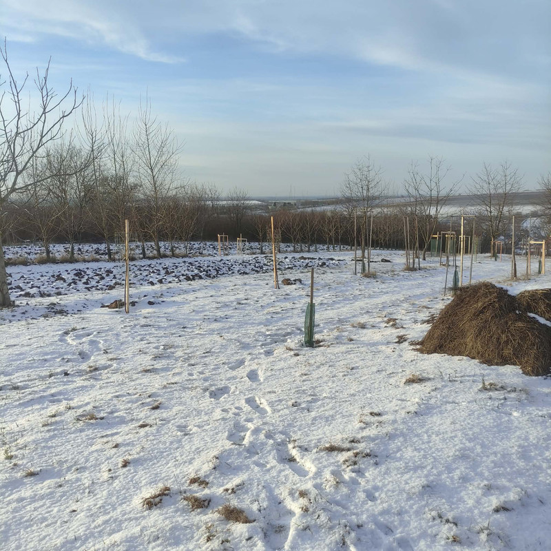 607127517 1540470633905417 6805834697304919949 n