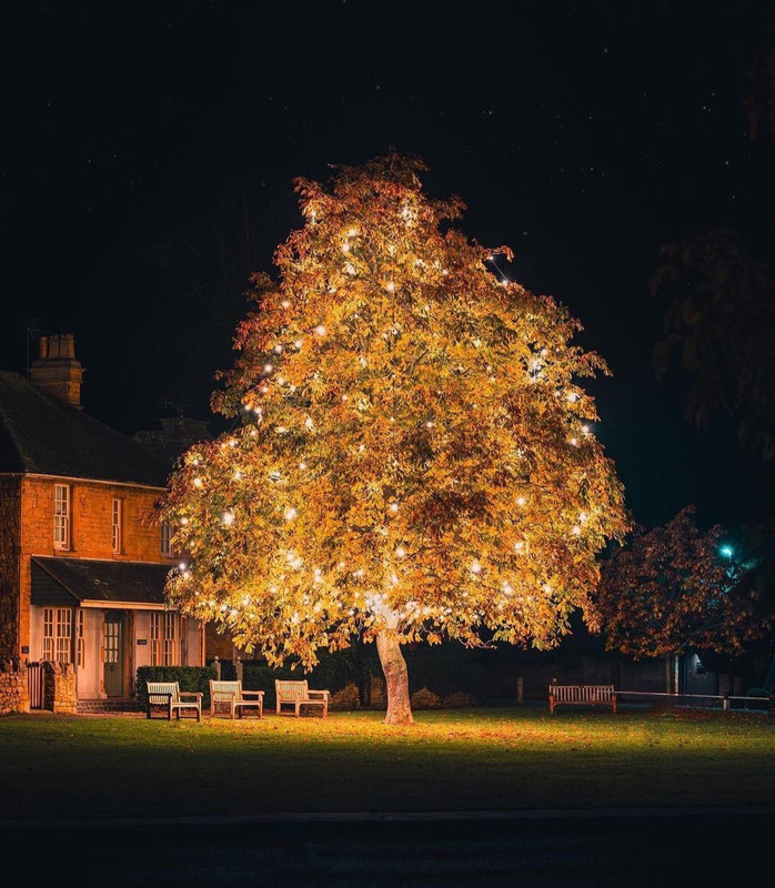 Screenshot_20231112_201023_Instagram