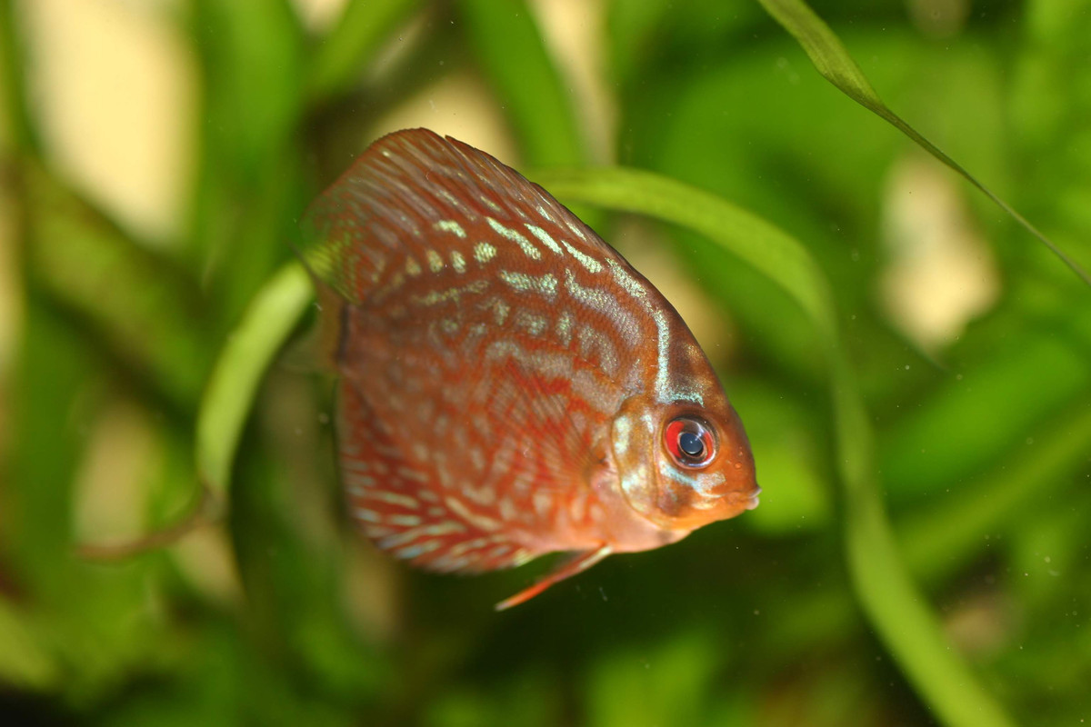 CFBB5F81-2951-4DB1-92BC-C49A15493816