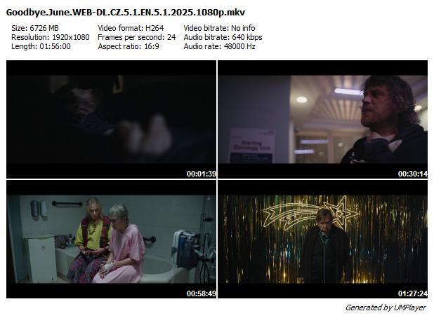 Sbohem, June / Goodbye June (2025)