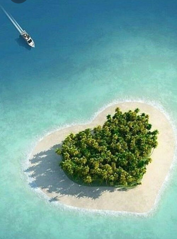 Screenshot_20230527_234159_Pinterest