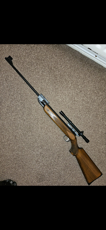 Screenshot_20250302_203057_Gallery