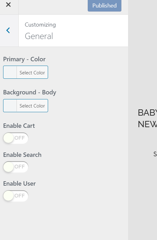 Theme Problem Wordpress Customize Tab