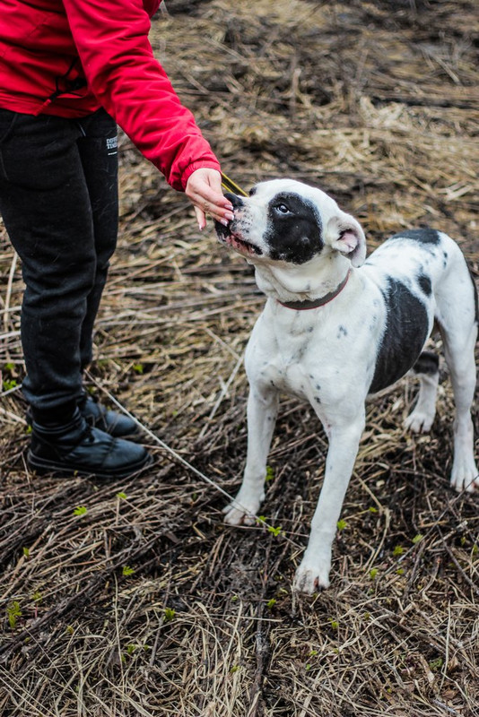 без имени-0310