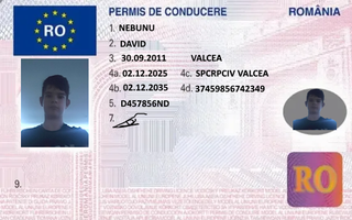 PERMIS DE CONDUCERE DAVID