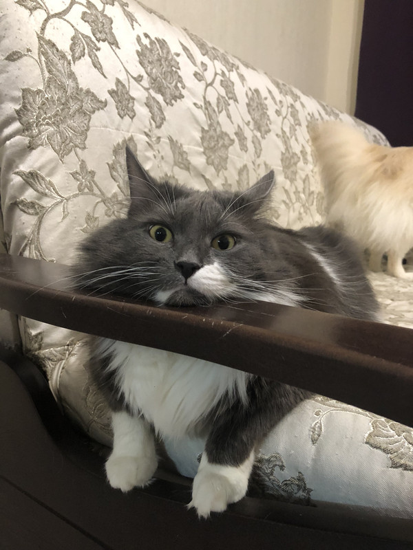 3B90E8A3-A33B-4EF2-B8F7-075B60DD163C