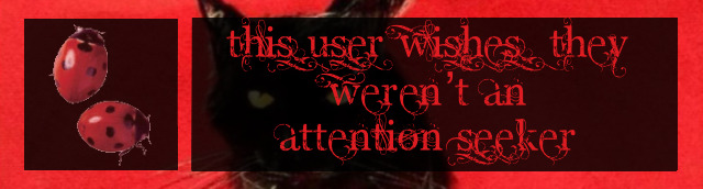 Attention seeker userbox