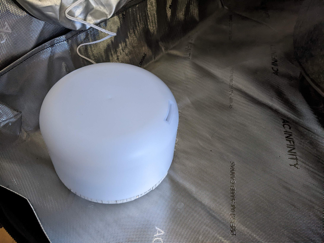 PXL-20230110-203001081.jpg