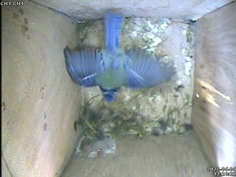 B39B6A32-2D41-479B-876B-FE532D874A9B