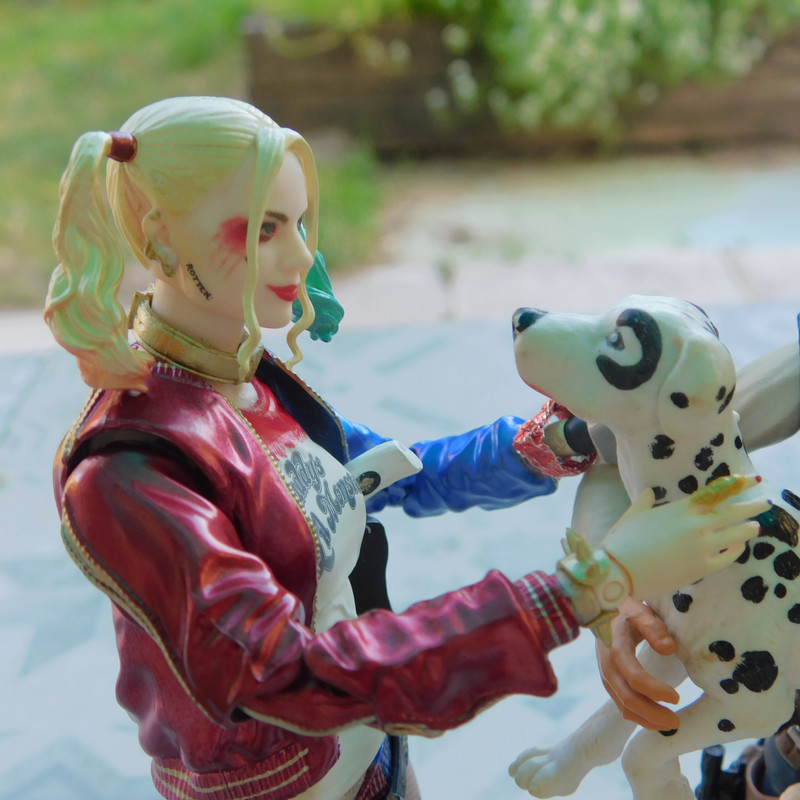 Дачно-Харлинский июнь-июль 2024 281