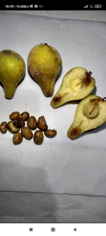 WhatsApp Image 2020-12-17 at 19.27.22 (1)